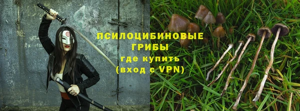 ECSTASY Вязьма