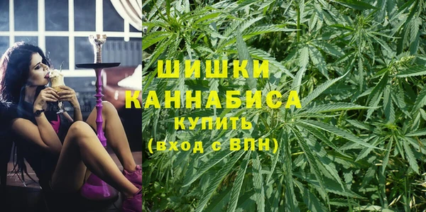 сатива Володарск