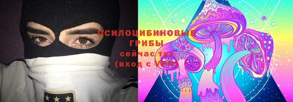 прущая мука Вяземский